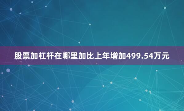 股票加杠杆在哪里加比上年增加499.54万元