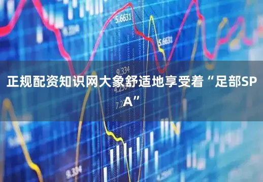 正规配资知识网大象舒适地享受着“足部SPA”